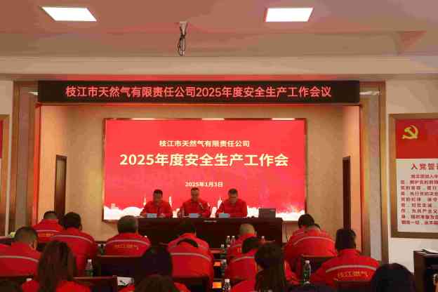 攜手共筑安全防線，共創安全生產新篇章——2025年度安全生產工作會議圓滿召開